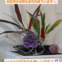 画像296