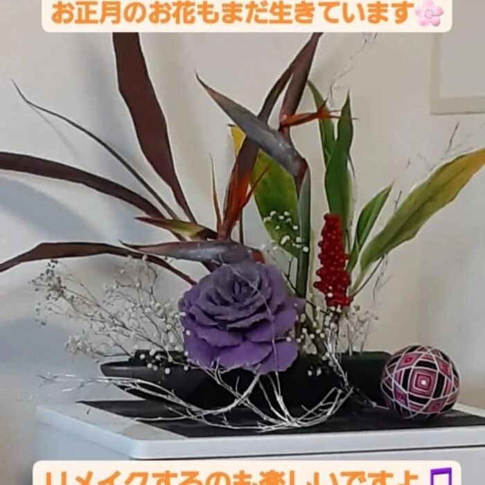 画像296