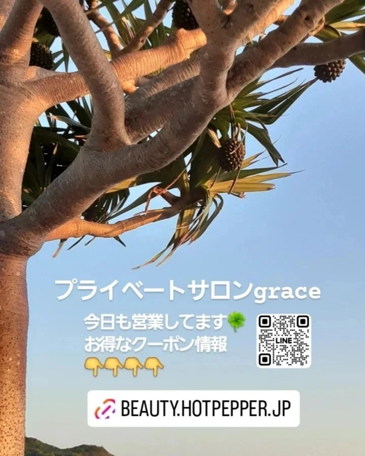 画像365