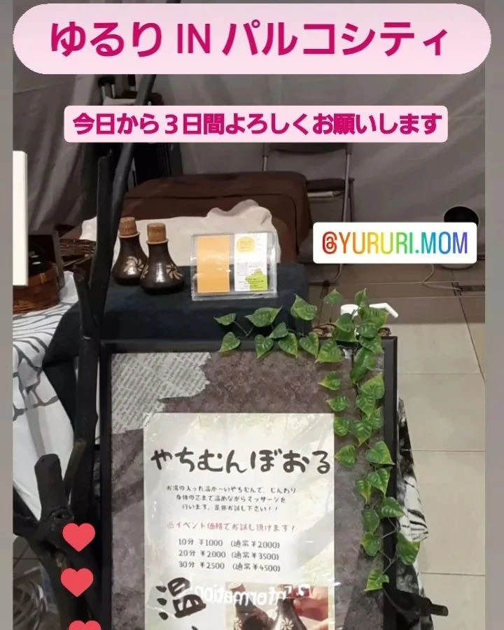 画像384